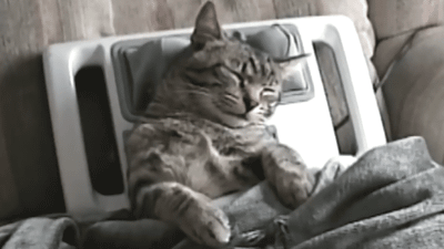 GIFs with Captions (14 gifs) GIFs with Captions (14 gifs)