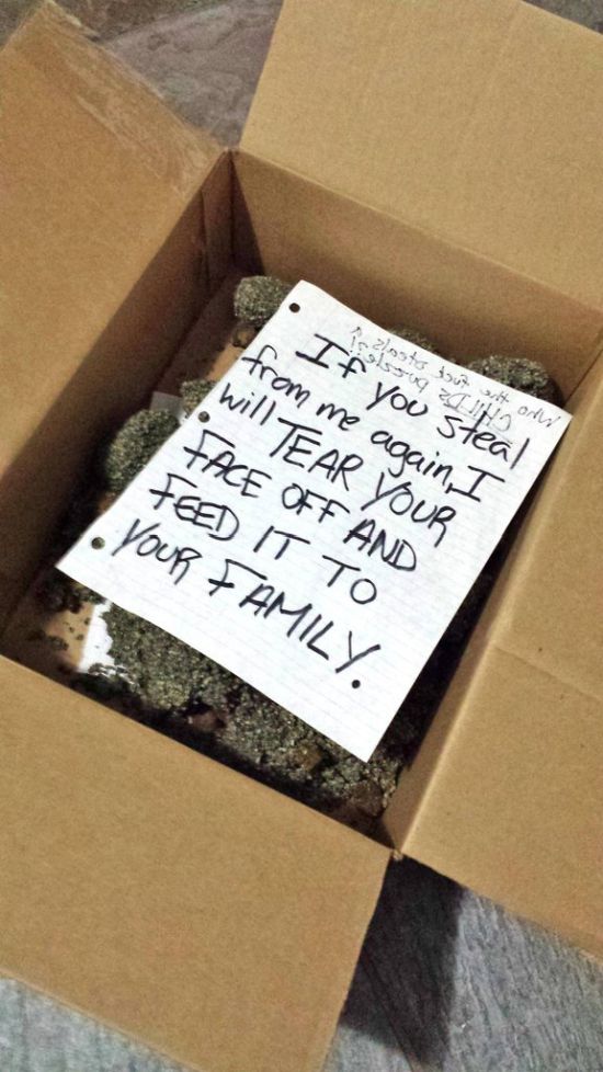 How to Deal With Someone Who Steals Your Packages (4 pics)