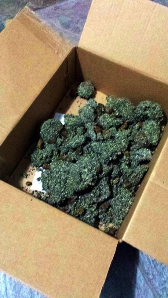 How to Deal With Someone Who Steals Your Packages (4 pics)