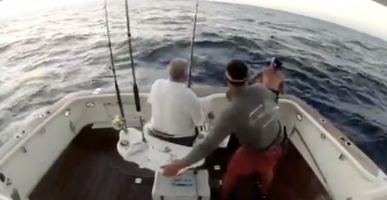 Panic Marlin Fishing