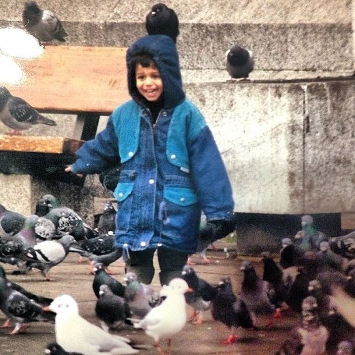 Don't Feed Pigeons (22 pics)