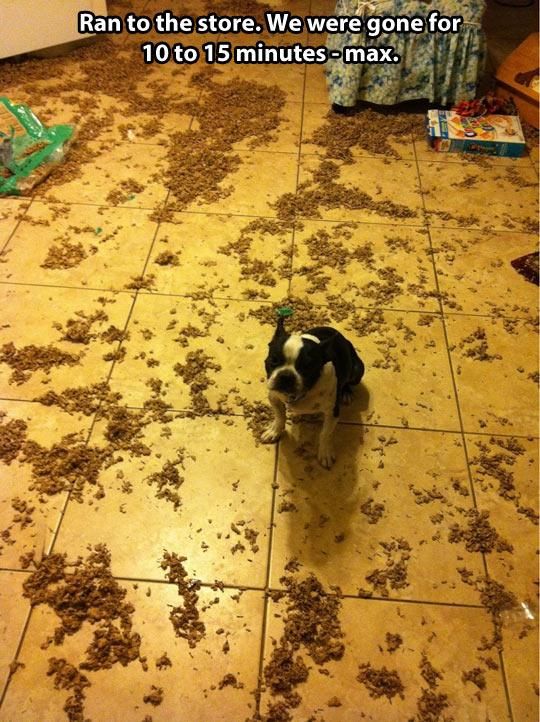 Acid Picdump (91 pics)
