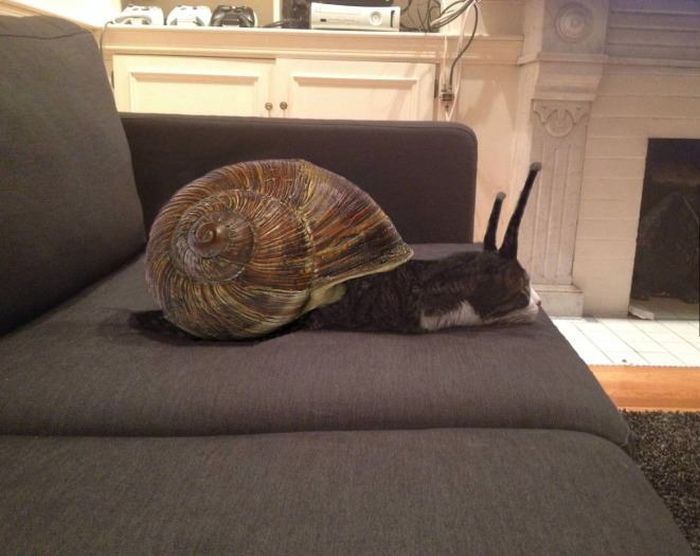 Acid Picdump (121 pics)