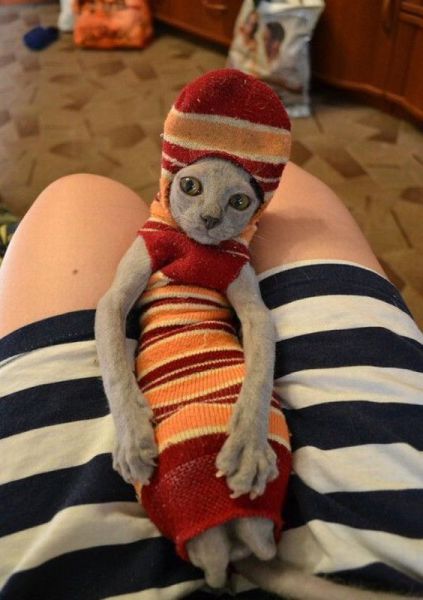 Acid Picdump (121 pics)