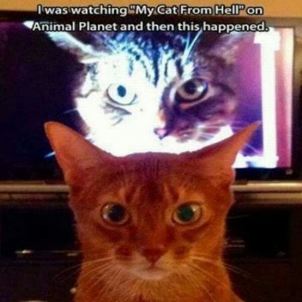 Acid Picdump (121 pics)