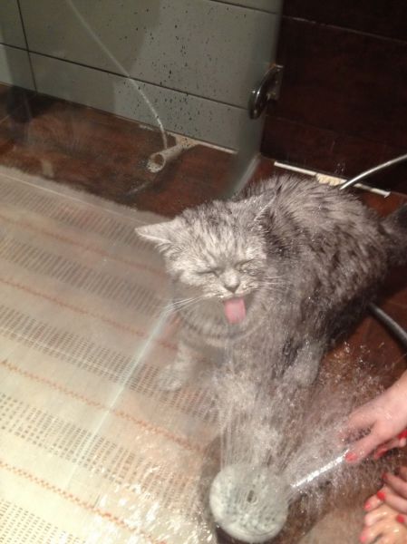 Acid Picdump (121 pics)