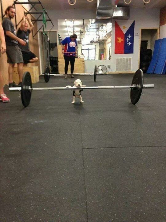 Acid Picdump (121 pics)