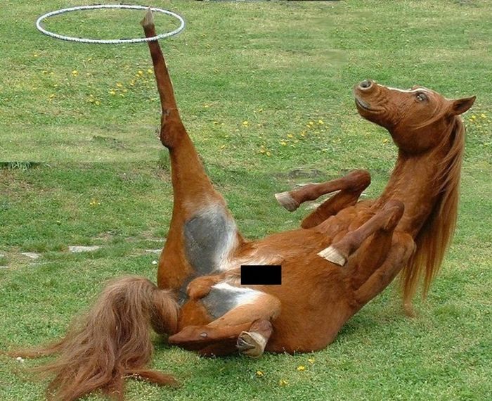 Acid Picdump (121 pics)
