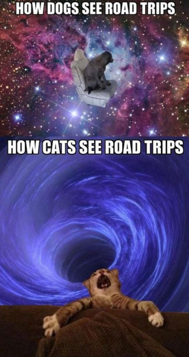 Acid Picdump (121 pics)