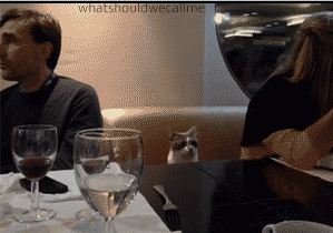 Did It Ever Happen to You When... Part 62 (17 gifs)