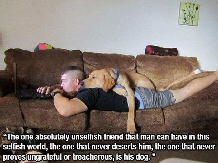 This Post Is for All Dog Lovers (14 pics)