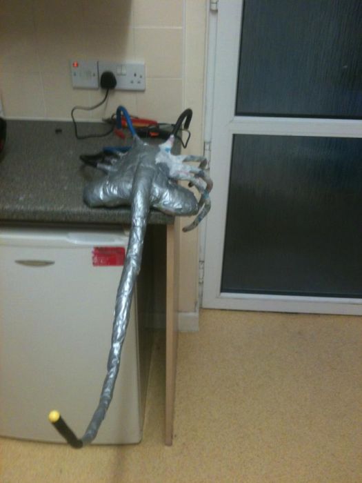 DIY Facehugger (16 pics)