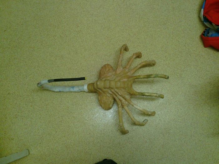 DIY Facehugger (16 pics)