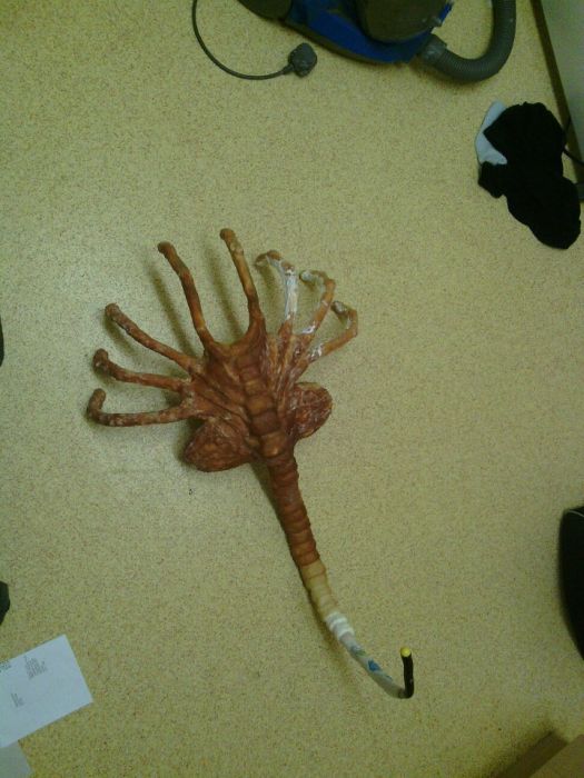 DIY Facehugger (16 pics)