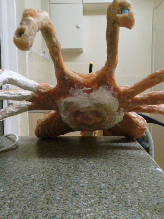DIY Facehugger (16 pics)
