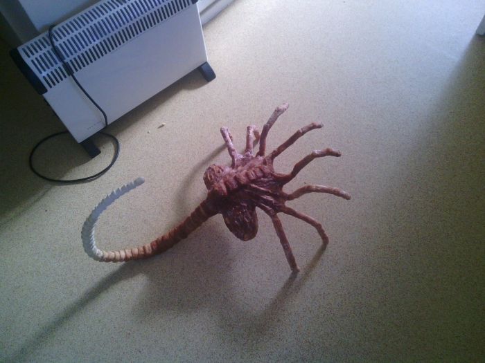 DIY Facehugger (16 pics)