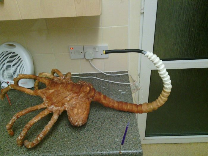 DIY Facehugger (16 pics)