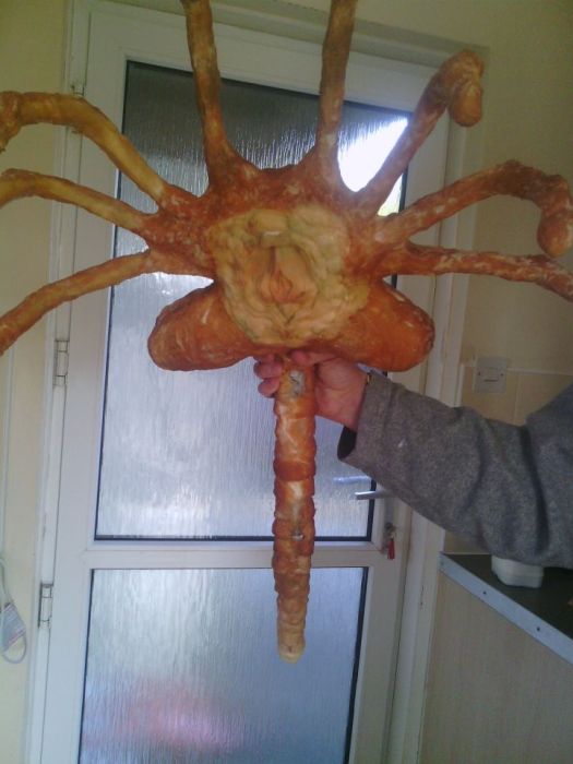 DIY Facehugger (16 pics)