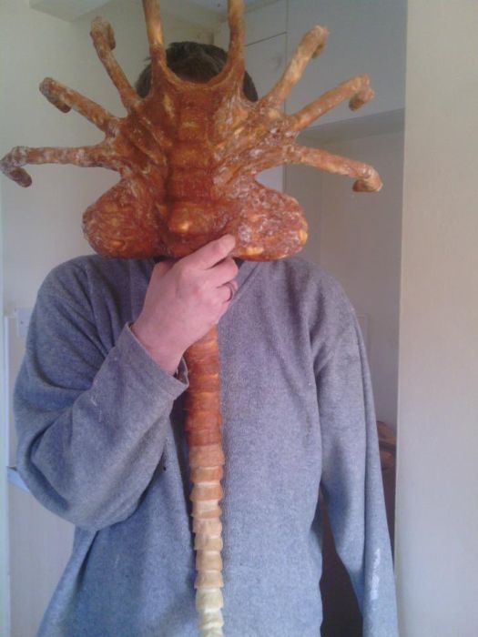DIY Facehugger (16 pics)