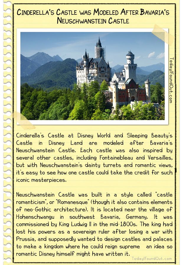 Random Facts (10 pics)