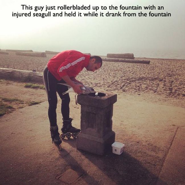 Faith in Humanity Restored. Part 6 (20 pics)