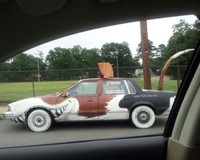 Funny Car-Themed Photos. Part 7 (54 pics)