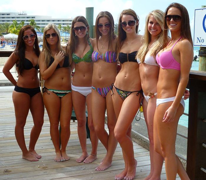 Girls in Bikinis (36 pics)