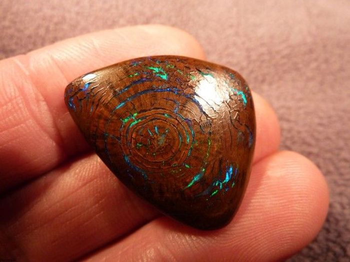 Opalized Wood Boulder Opal (5 pics)