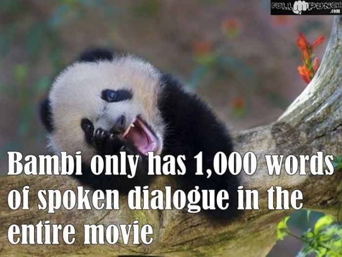 General Knowledge Facts (24 pics)