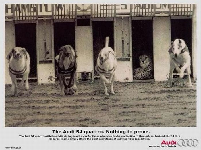 Acid Picdump (115 pics)