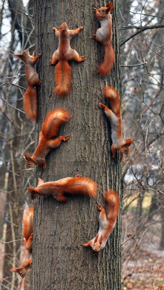 Acid Picdump (115 pics)