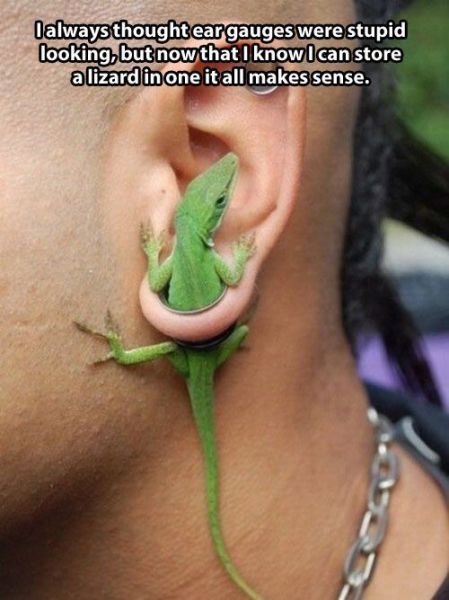 Acid Picdump (115 pics)