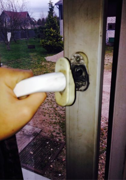 Acid Picdump (115 pics)