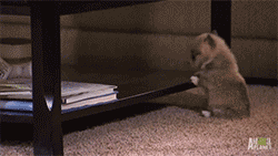 Did It Ever Happen to You When... Part 63 (16 gifs)
