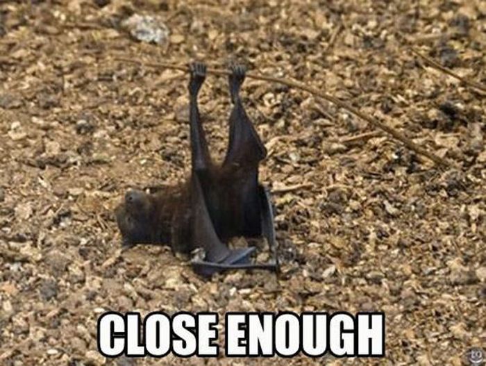 Almost Nailed It (38 pics)