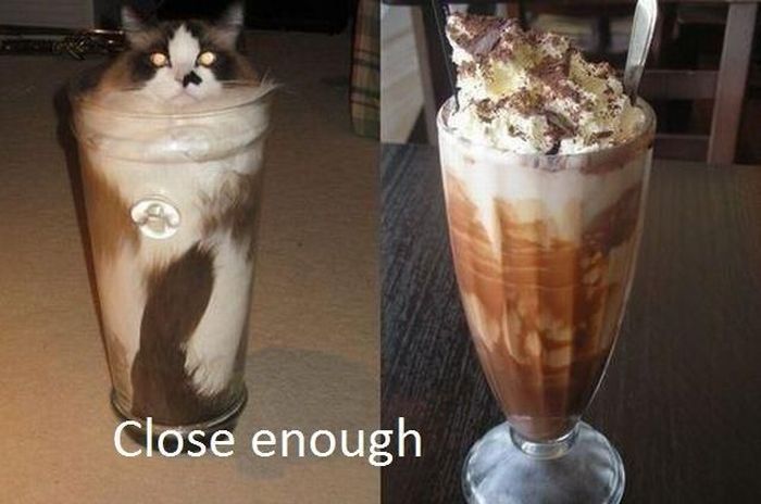 Almost Nailed It (38 pics)