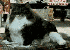 Almost Nailed It (38 pics)