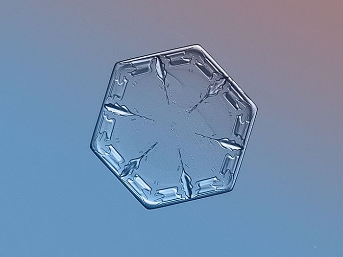 Close-Up Photos of Snowflakes (28 pics)