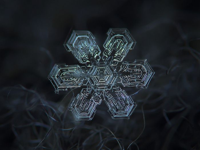 Close-Up Photos of Snowflakes (28 pics)