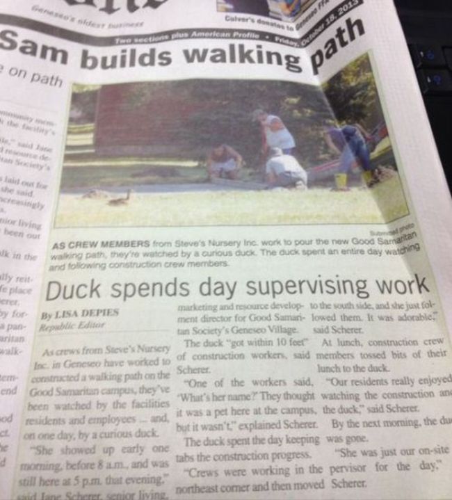 Weird Local News Captions. Part 6 (33 pics)
