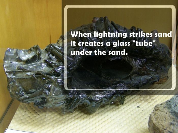 Fun Facts. Part 10 (25 pics)