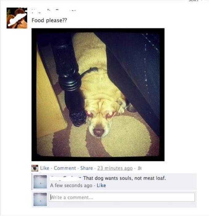 Stupid Posts on Facebook. Part 4 (44 pics)