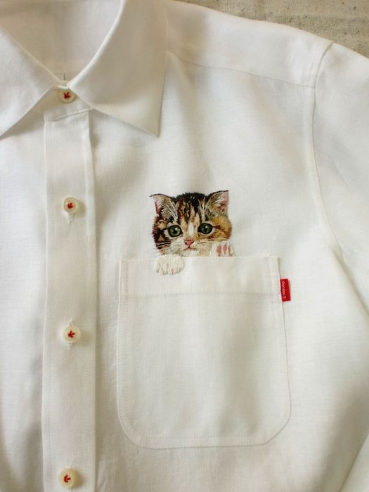 Shirts with Cats (38 pics)