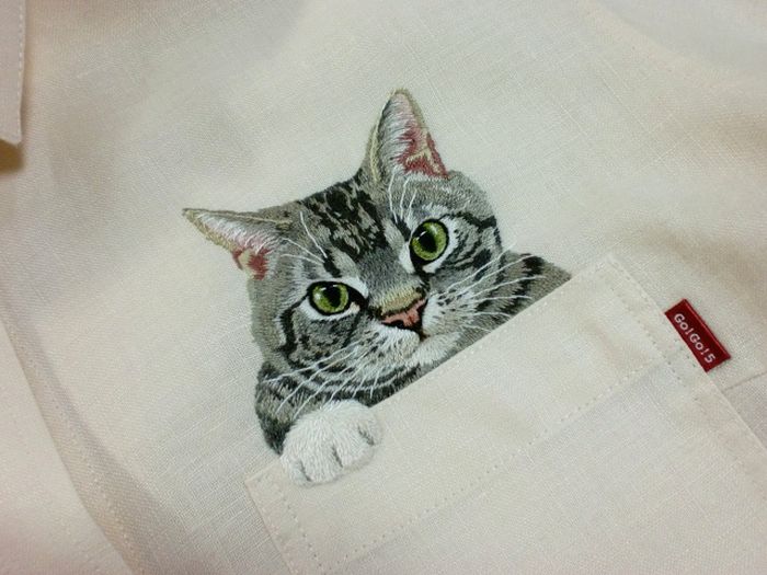 Shirts with Cats (38 pics)