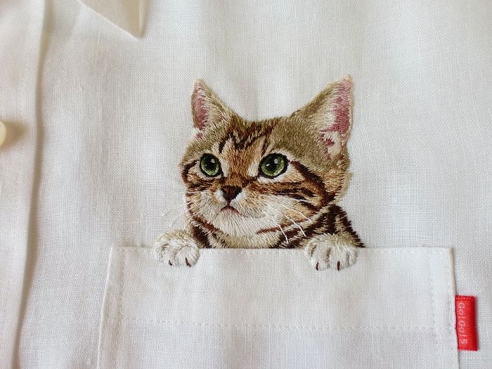 Shirts with Cats (38 pics)