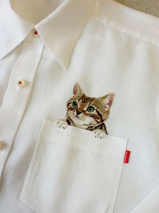 Shirts with Cats (38 pics)