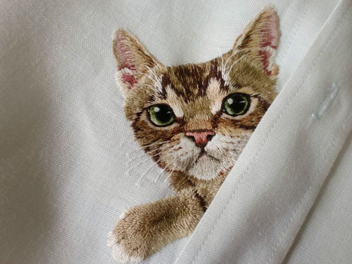 Shirts with Cats (38 pics)