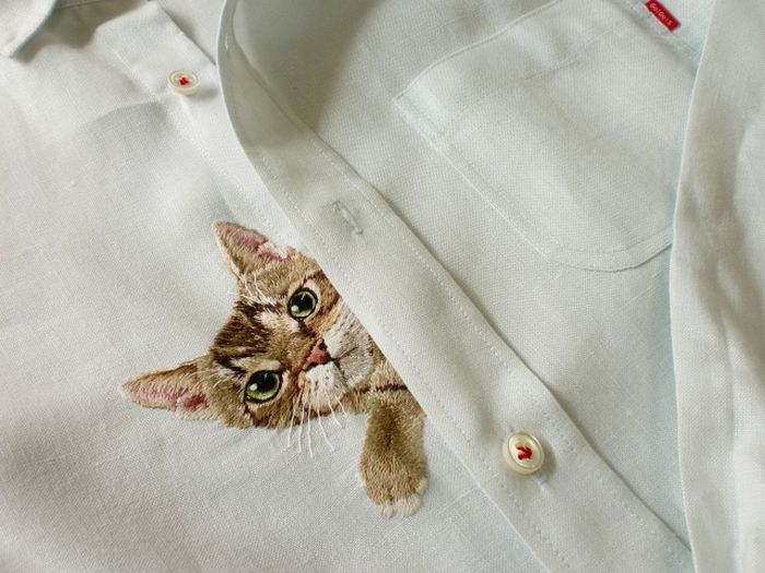 Shirts with Cats (38 pics)