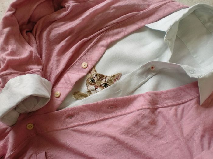 Shirts with Cats (38 pics)