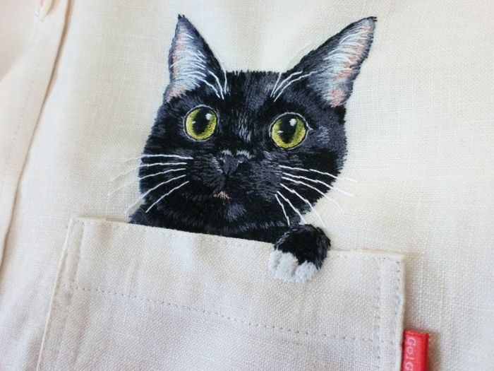 Shirts with Cats (38 pics)